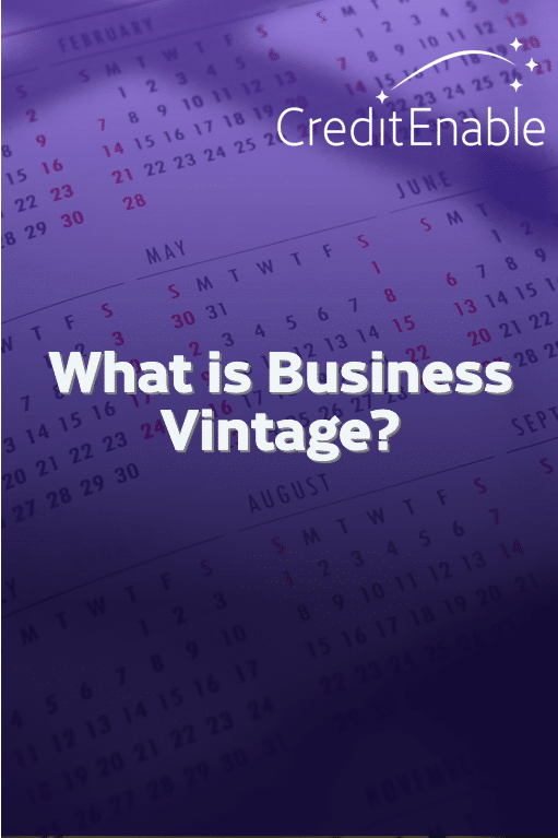 Business vintage for business loan